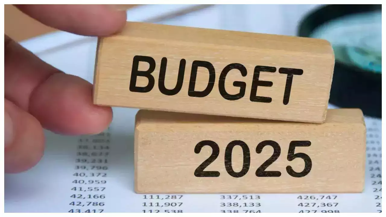 Budget 2025 date