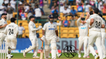 India new Zealand test match